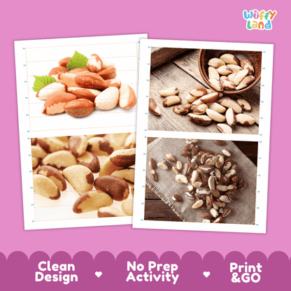 Brazil Nut Cut and Match Activity Worksheets | Nuts and Dried Fruits Puzzle Printables