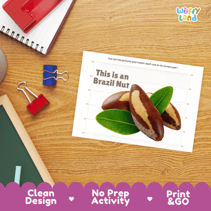 Brazil Nut Cut and Match Activity Worksheets | Nuts and Dried Fruits Puzzle Printables