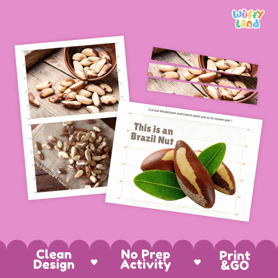 Brazil Nut Cut and Match Activity Worksheets | Nuts and Dried Fruits Puzzle Printables