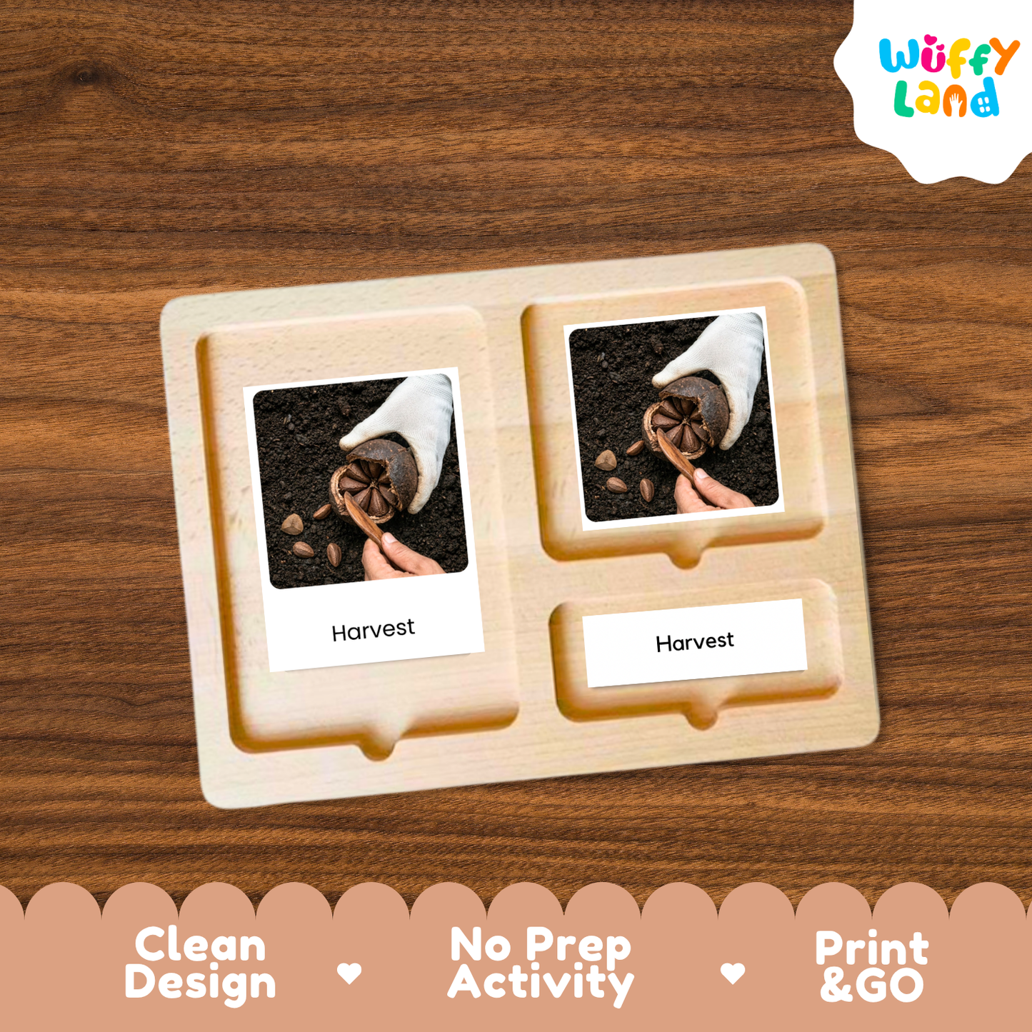 A wooden Montessori-style activity tray with three compartments, each holding a printed photo card labeled 'Harvest' and a small label, shown on a wood-grain background. The 'Wuffy Land' logo appears in the top right, and a decorative banner at the bottom reads 'Clean Design', 'No Prep Activity', and 'Print & GO'.