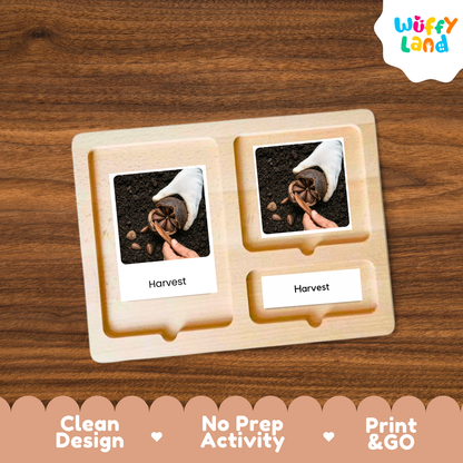 A wooden Montessori-style activity tray with three compartments, each holding a printed photo card labeled 'Harvest' and a small label, shown on a wood-grain background. The 'Wuffy Land' logo appears in the top right, and a decorative banner at the bottom reads 'Clean Design', 'No Prep Activity', and 'Print & GO'.