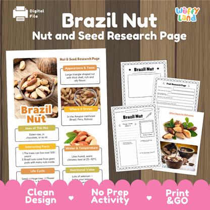 Digital preview of a Brazil Nut research page activity sheet with editable text blocks, shown on a wood background with pink banner text reading 'Clean Design', 'No Prep Activity', and 'Print & GO'.