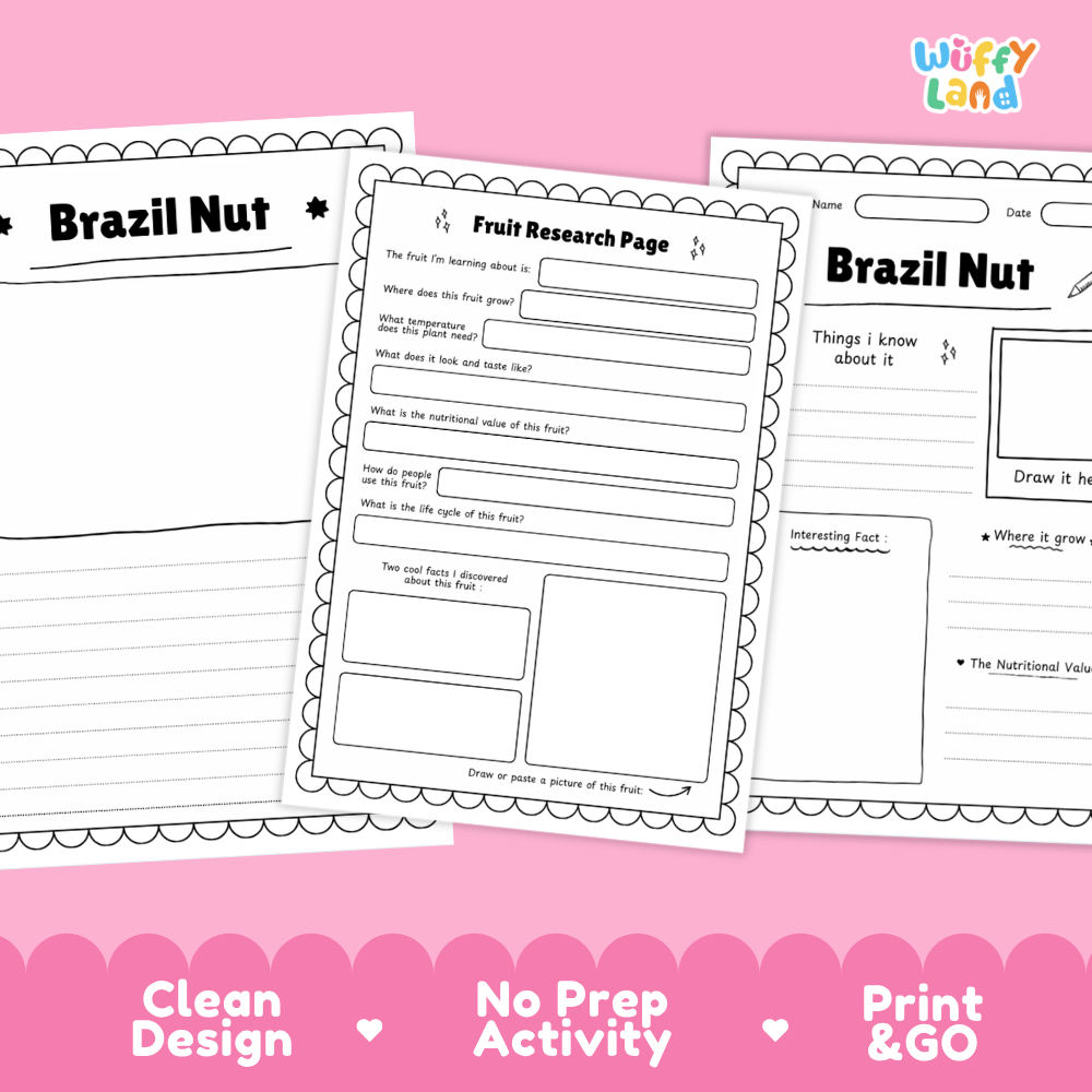 Three printable educational activity sheets for Brazil Nut and Fruit Research displayed on a pink background with the brand logo 'Wiffly Land' in the top right.