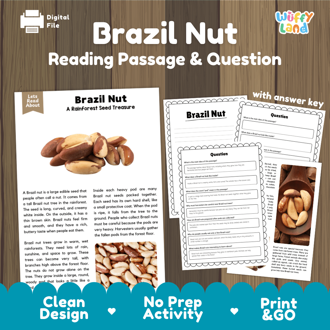 Digital reading activity sheet set titled 'Brazil Nut Reading Passage & Question' on a wood-textured background. The design shows the printed passage page, worksheet pages with images of Brazil nuts, and a note that it comes with an answer key.