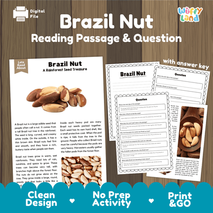 Digital reading activity sheet set titled 'Brazil Nut Reading Passage & Question' on a wood-textured background. The design shows the printed passage page, worksheet pages with images of Brazil nuts, and a note that it comes with an answer key.