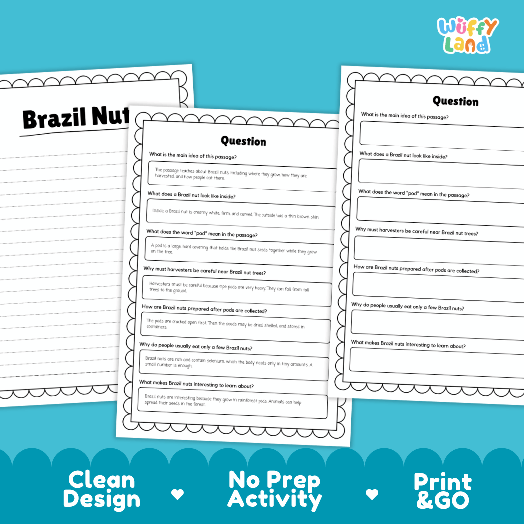 Three printable worksheet pages about Brazil nuts displayed on a bright blue background with promotional text reading 'Clean Design', 'No Prep Activity', and 'Print & GO'. The top-right corner shows the brand name 'Wiffly Land'.