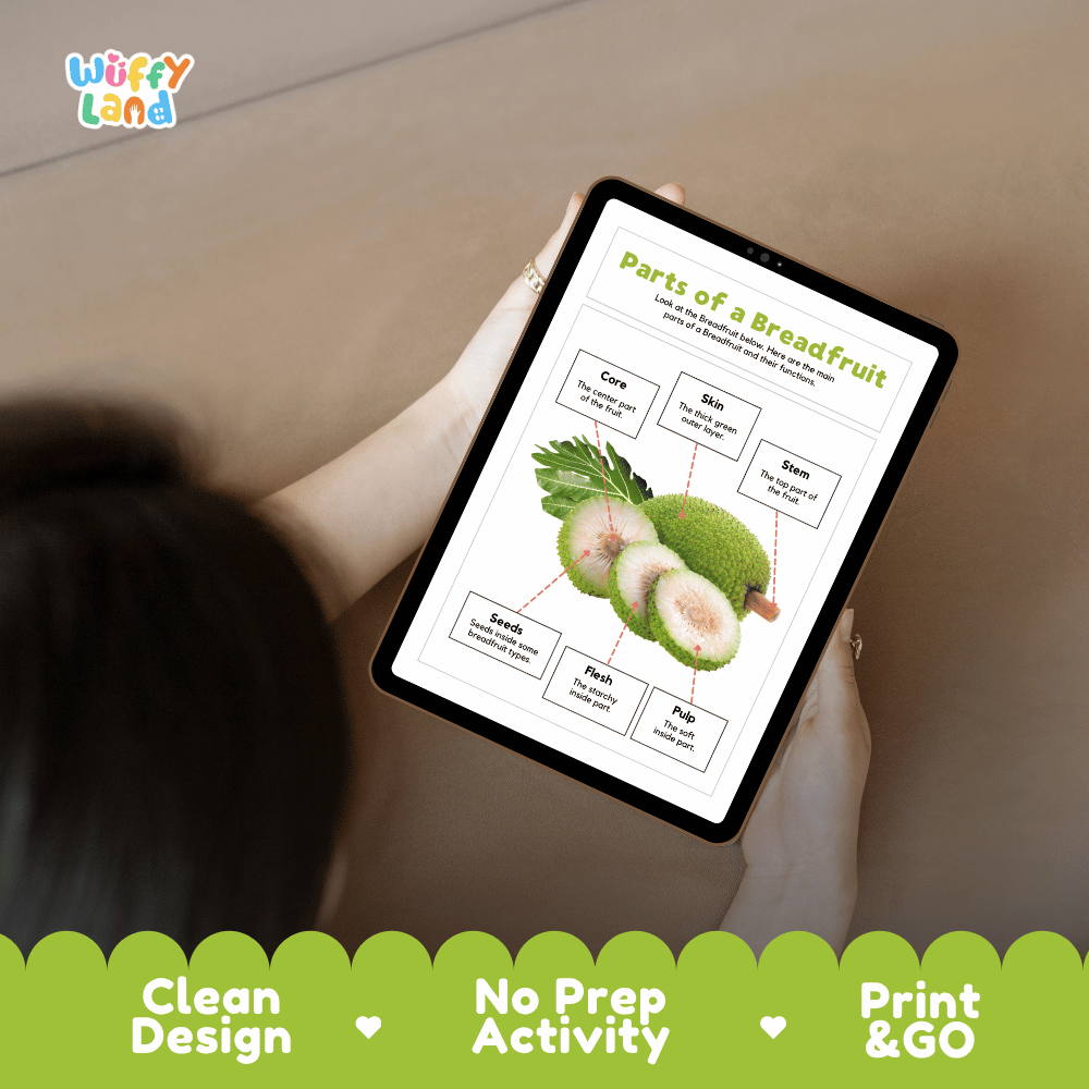 Educational cut and paste breadfruit anatomy worksheet with printable word cutout tiles for skin, stem, core, flesh, pulp, and seeds