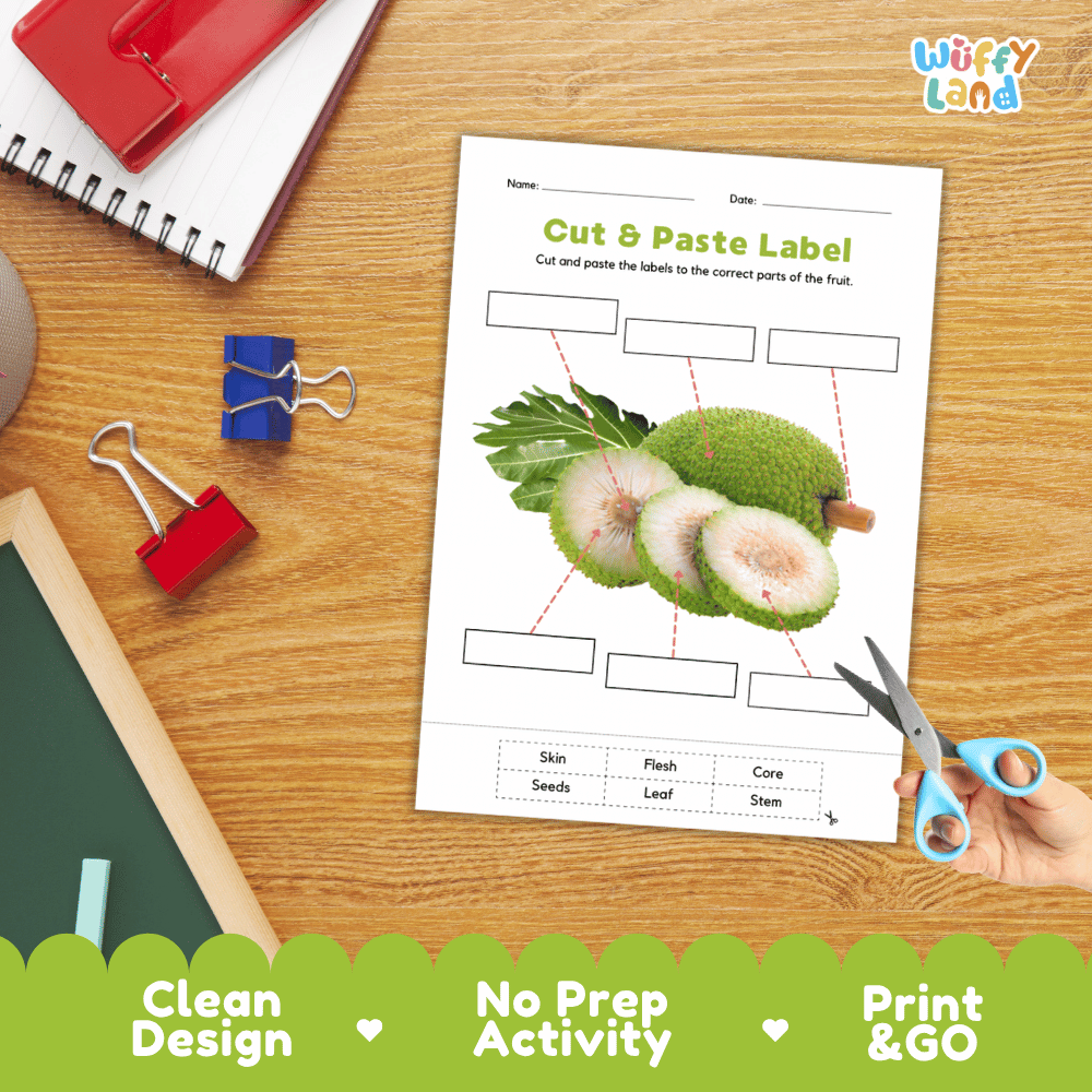 Printable plant biology worksheet showing cross-section realistic breadfruits with blank labeling boxes and a vocabulary word bank for writing practice