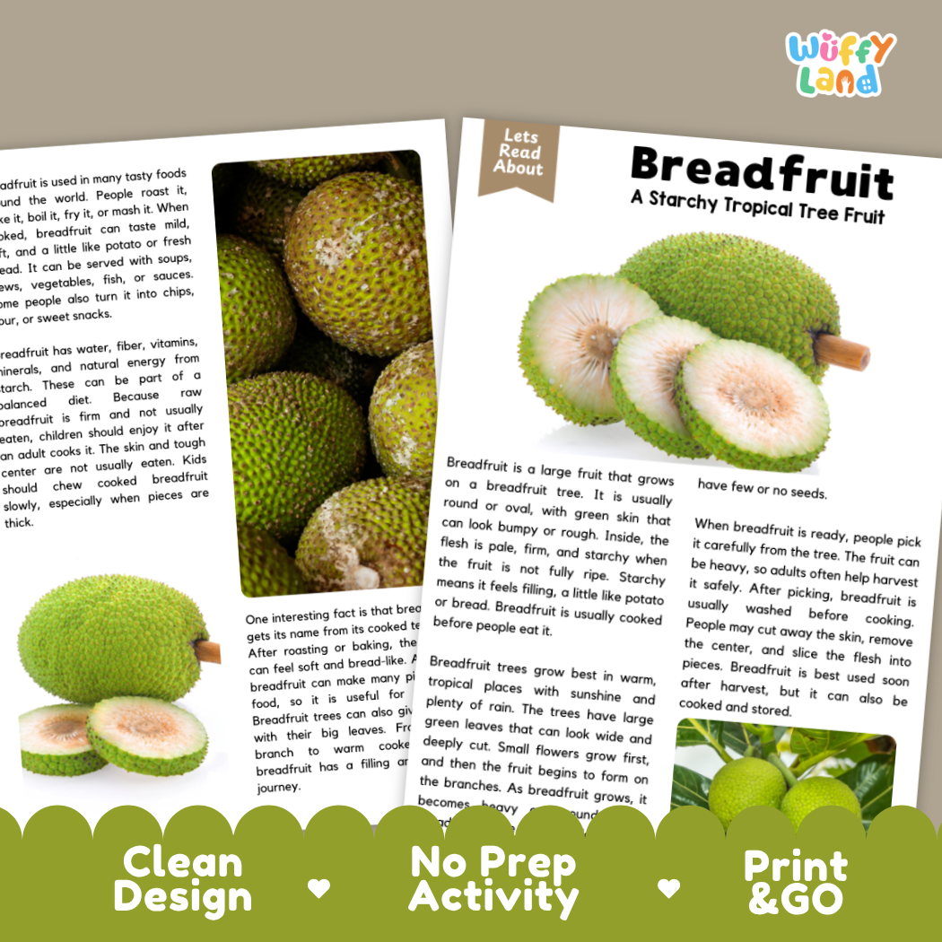 Teacher answer key page showing complete question solutions for Breadfruit nature and science reading comprehension practice