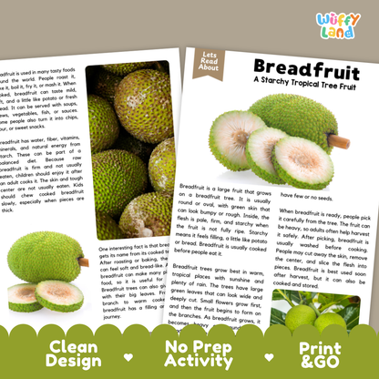 Teacher answer key page showing complete question solutions for Breadfruit nature and science reading comprehension practice