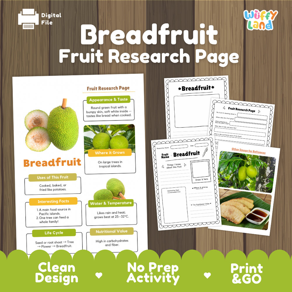 A digital preview of a breadfruit fruit research page activity sheet set by Wiffly Land, showing a main printed page with illustrations and several smaller worksheet pages on a wood-textured background.