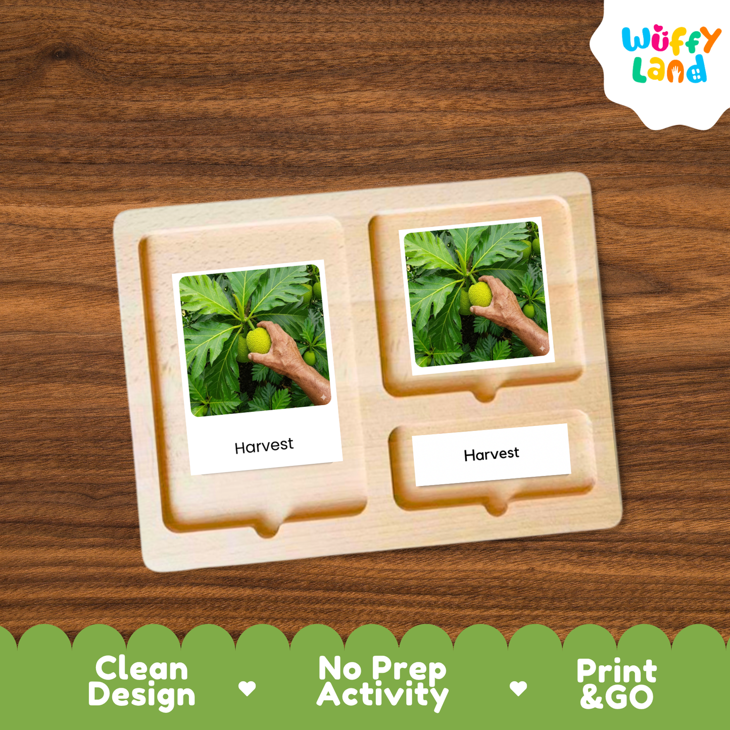 A wooden Montessori-style activity tray with two labeled slots reading 'Harvest' and photos of a hand harvesting a plant, shown on a wood-grain background. A 'Wuffy Land' logo appears in the top right, and a green banner at the bottom highlights 'Clean Design', 'No Prep Activity', and 'Print & GO'.