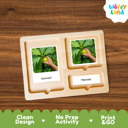 A wooden Montessori-style activity tray with two labeled slots reading 'Harvest' and photos of a hand harvesting a plant, shown on a wood-grain background. A 'Wuffy Land' logo appears in the top right, and a green banner at the bottom highlights 'Clean Design', 'No Prep Activity', and 'Print & GO'.
