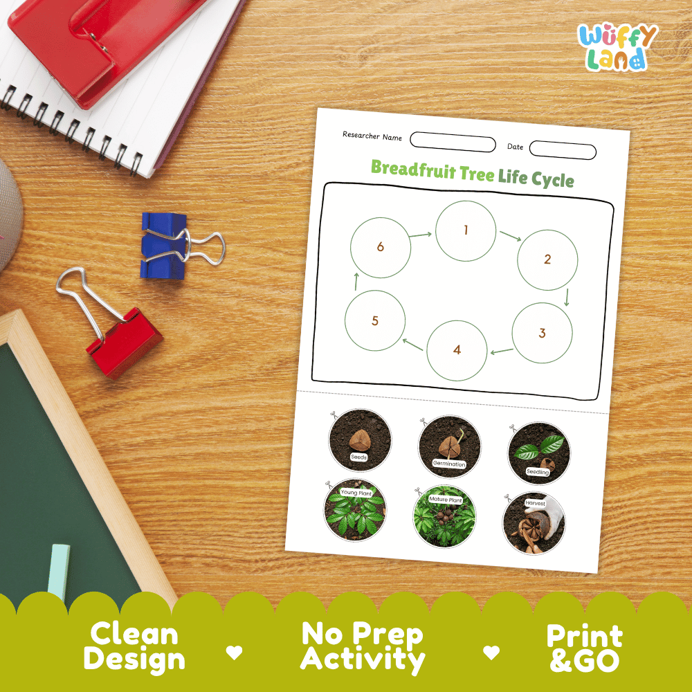 Breadfruit Tree Life Cycle Poster and Cut and Paste Activity Worksheets