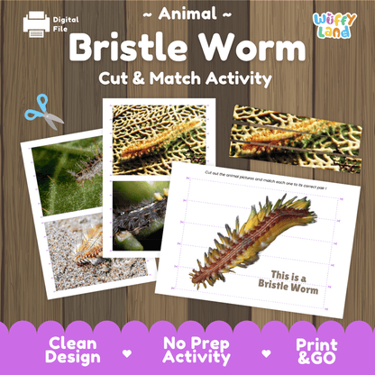 Bristle Worm Cut and Match Activity Printables Worksheets
