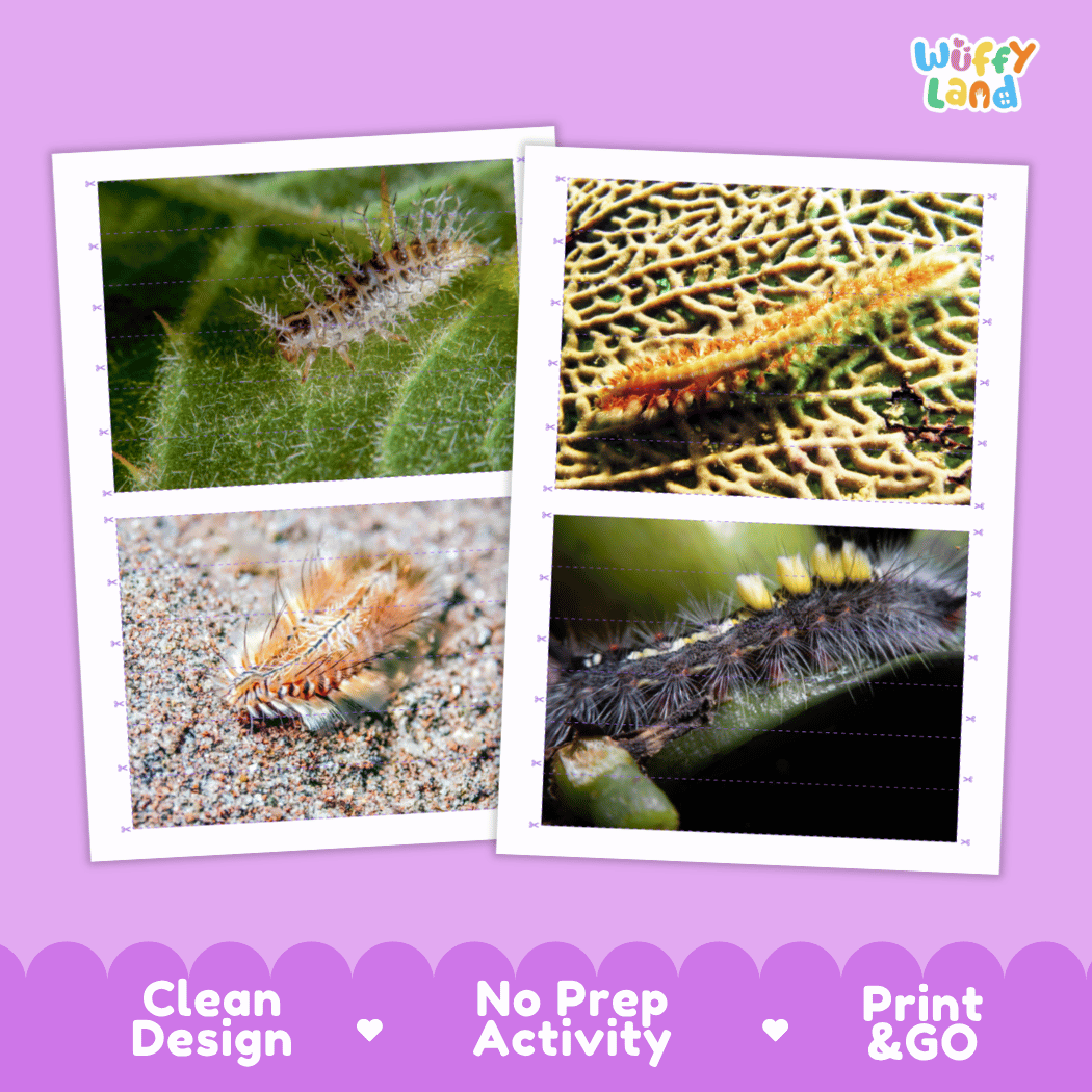 Bristle Worm Cut and Match Activity Printables Worksheets
