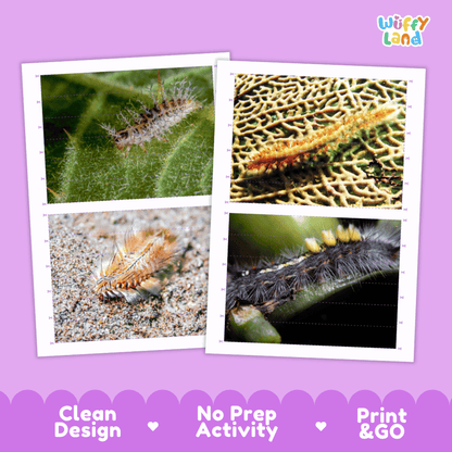 Bristle Worm Cut and Match Activity Printables Worksheets
