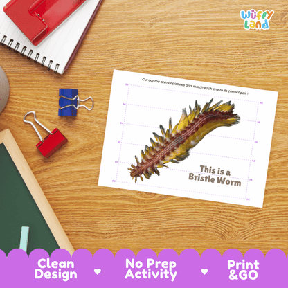 Bristle Worm Cut and Match Activity Printables Worksheets