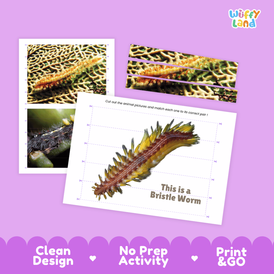 Bristle Worm Cut and Match Activity Printables Worksheets