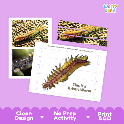 Bristle Worm Cut and Match Activity Printables Worksheets
