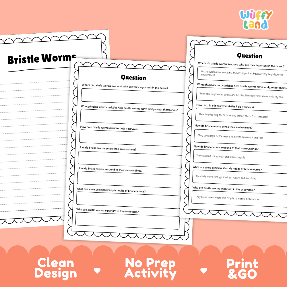 Three printable worksheet pages about bristle worms on a peach background, with the text 'Clean Design', 'No Prep Activity', and 'Print & GO' along the bottom.