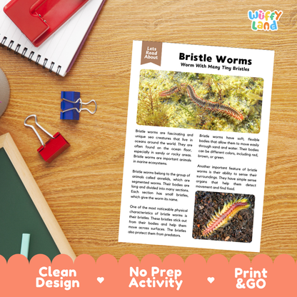 An educational activity sheet titled 'Bristle Worms' laid on a wooden desk, surrounded by a red notebook, blue binder clips, and a pencil. The sheet includes text, a main worm photo, a close-up inset, and a 'Lets Read About' header.