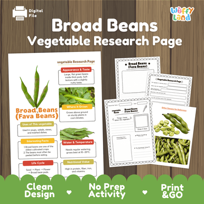 Student vegetable research printable fact sheet detailing fava beans appearance, ancient cultivation facts, cool climate, and nutrition with real images 📝🔍