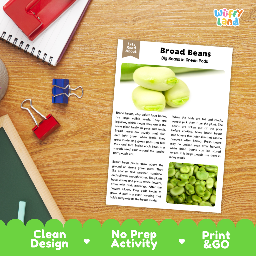 Broad Beans Reading Passage and Comprehension Questions Worksheets with Answer Key