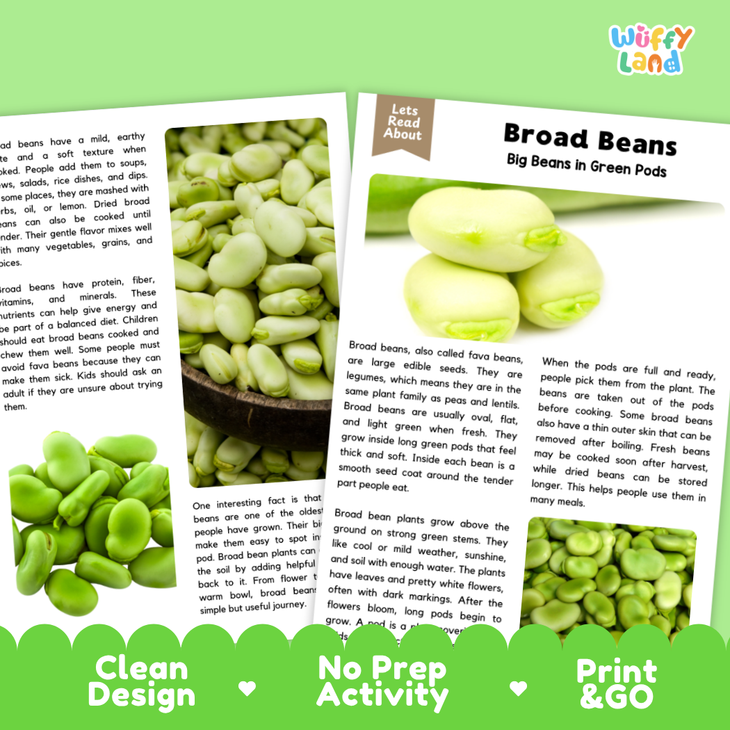 Broad Beans Reading Passage and Comprehension Questions Worksheets with Answer Key