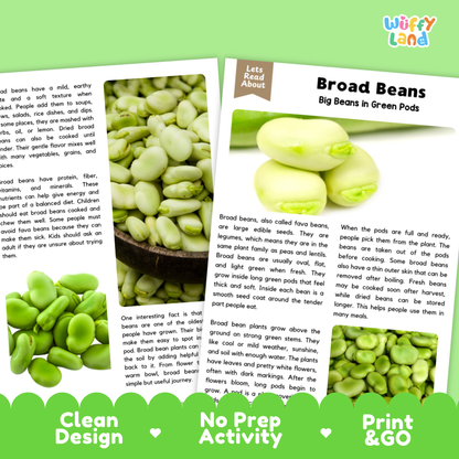 Broad Beans Reading Passage and Comprehension Questions Worksheets with Answer Key