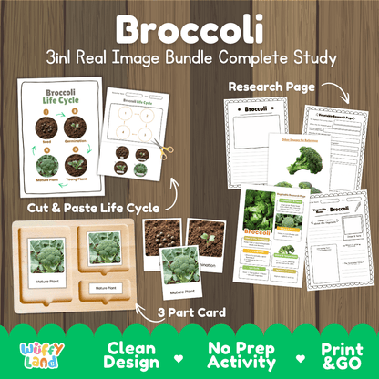 Broccoli 3in1 real image bundle complete study printable featuring life cycle cut and paste worksheets, Montessori 3-part cards, and research pages