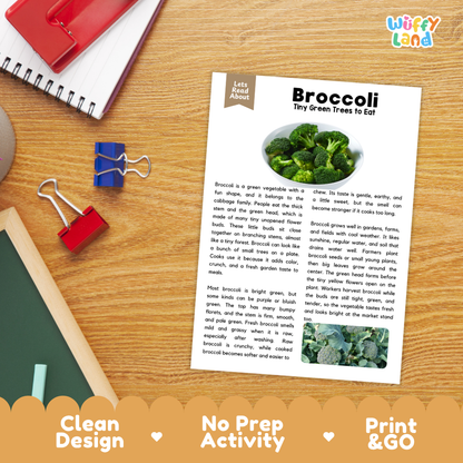 Student reading comprehension worksheet with short-answer questions and lined sections about broccoli vegetables