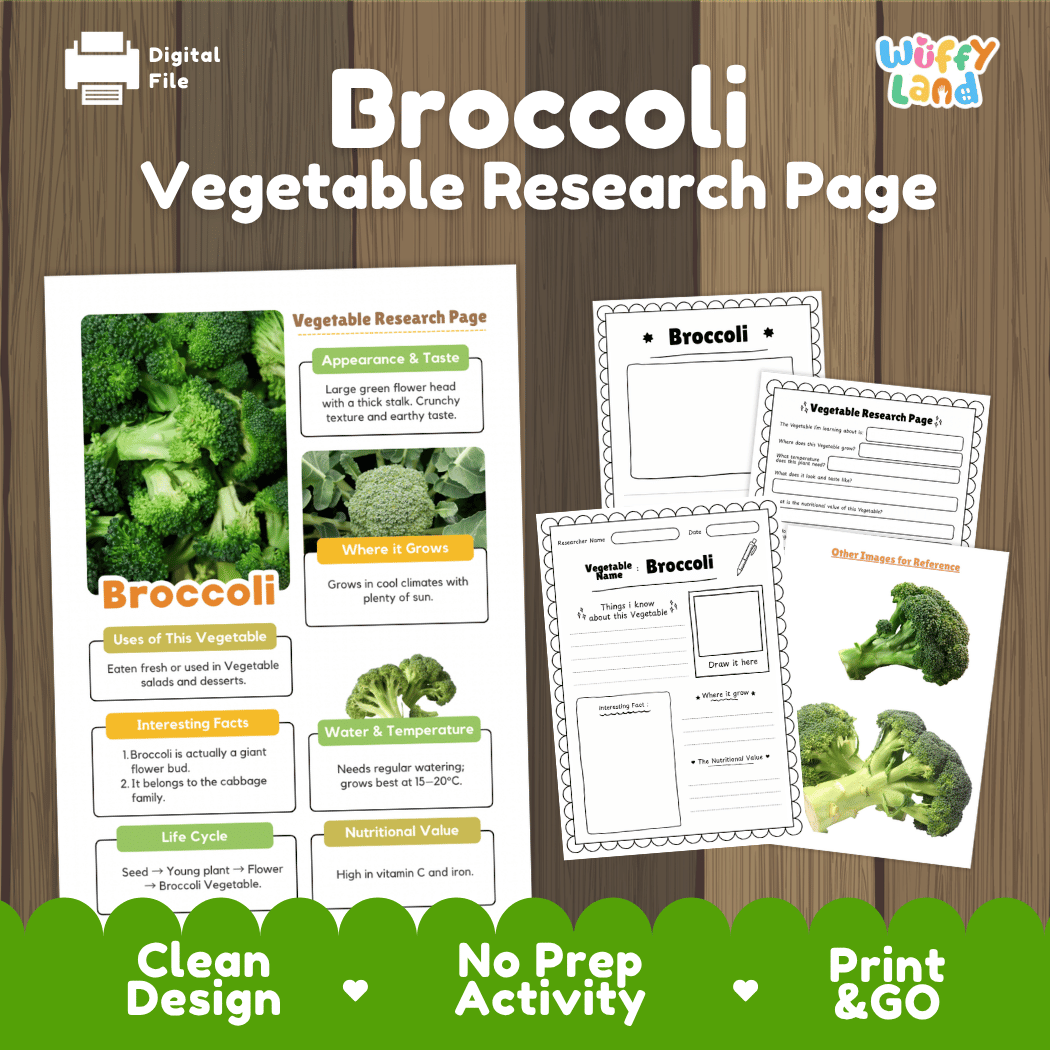 Broccoli Vegetable Research Page Worksheets