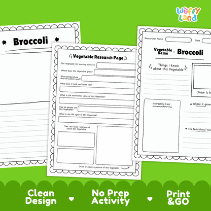 Broccoli Vegetable Research Page Worksheets
