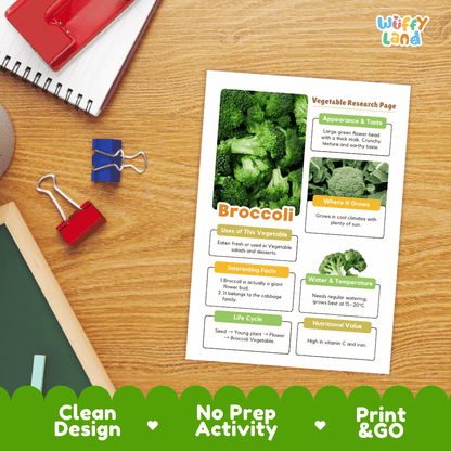 Broccoli Vegetable Research Page Worksheets
