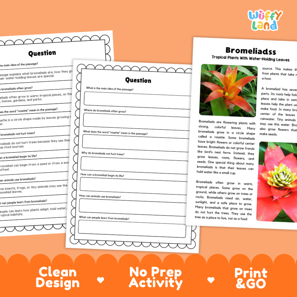 Printable reading passage detailing bromeliads, water-holding leaves, rosettes, and tropical habitats