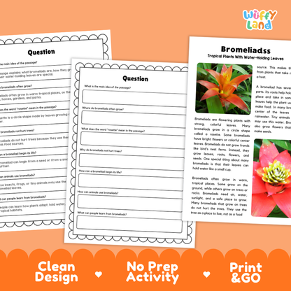 Printable reading passage detailing bromeliads, water-holding leaves, rosettes, and tropical habitats
