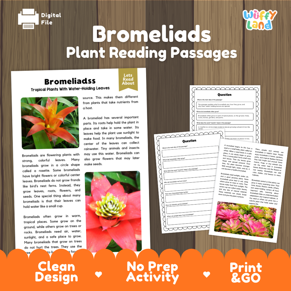 Bromeliads plant reading passages cover showing printable reading texts, comprehension worksheets, and photographic visuals