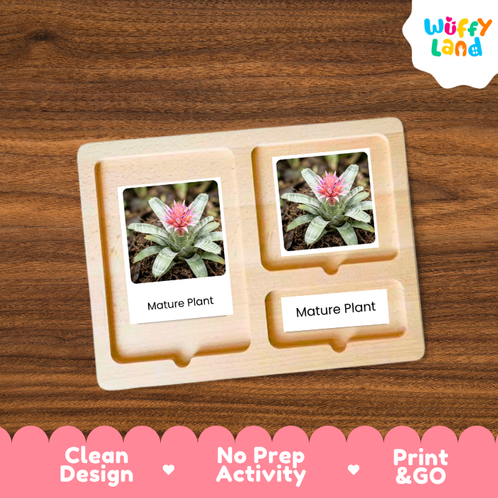 A wooden Montessori-style plant marker tray with two labeled slots reading 'Mature Plant,' each holding a small printed plant photo, shown on a wood-grain background. A 'Wuffy Land' logo appears in the top right, and a pink banner at the bottom highlights 'Clean Design,' 'No Prep Activity,' and 'Print & GO.
