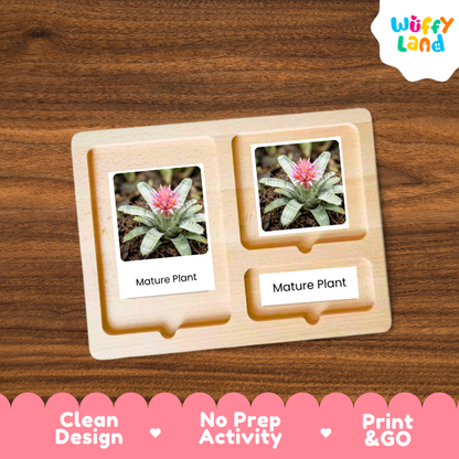 A wooden Montessori-style plant marker tray with two labeled slots reading 'Mature Plant,' each holding a small printed plant photo, shown on a wood-grain background. A 'Wuffy Land' logo appears in the top right, and a pink banner at the bottom highlights 'Clean Design,' 'No Prep Activity,' and 'Print & GO.