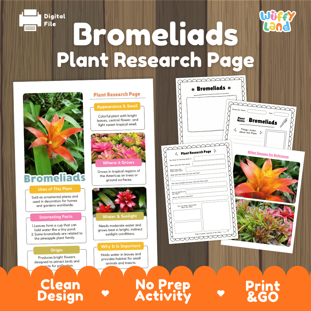 Bromeliads Plant Research Page Worksheets and Fact Sheet
