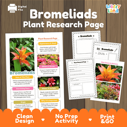 Bromeliads Plant Research Page Worksheets and Fact Sheet