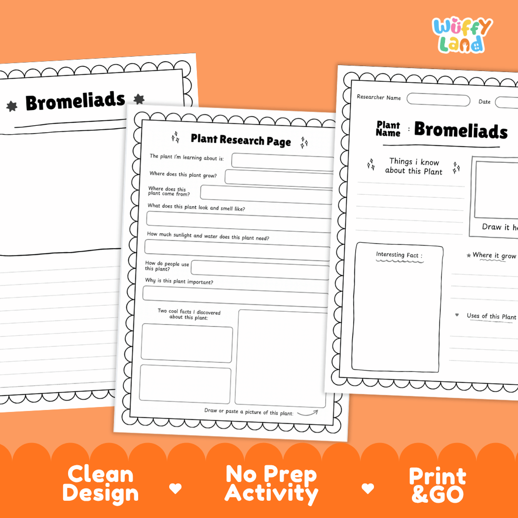 Bromeliads Plant Research Page Worksheets and Fact Sheet