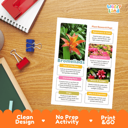 Bromeliads Plant Research Page Worksheets and Fact Sheet