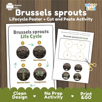 Brussels sprouts plant life cycle educational printable pack cover showing visual reference poster and cut and paste sequencing worksheet with real photography