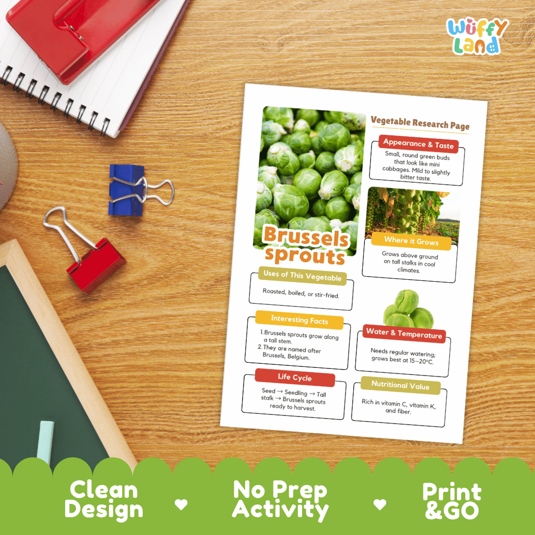 Brussels Sprouts Vegetable Research Page Worksheets
