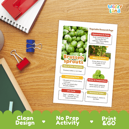 Brussels Sprouts Vegetable Research Page Worksheets