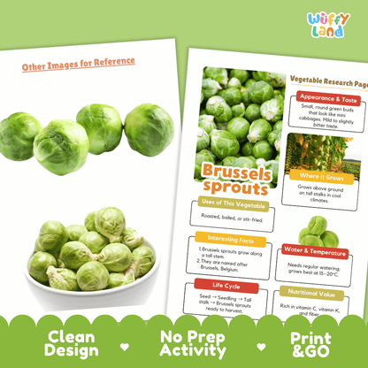 Brussels Sprouts Vegetable Research Page Worksheets