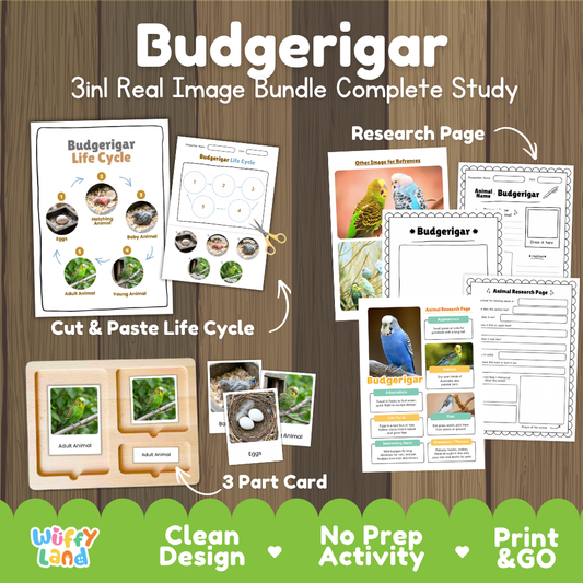Budgerigar 3-in-1 real image bundle complete study cover showing cut and paste life cycle, 3 part cards, and research pages
