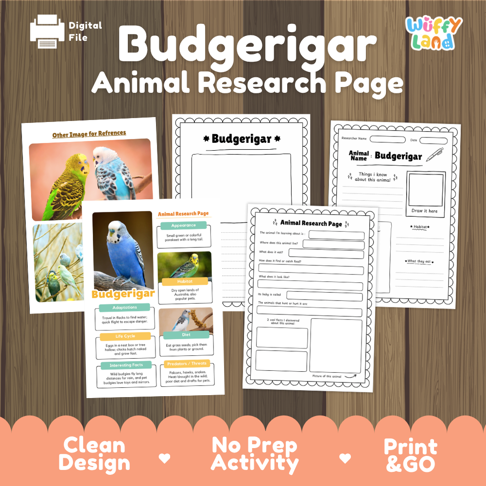 Digital preview of a 'Budgerigar Animal Research Page' activity sheet set by Wiffy Land, displayed on a wood-grain background with promotional text at the bottom.